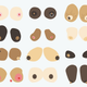 Illustration for article titled BOOB DIVERSITY